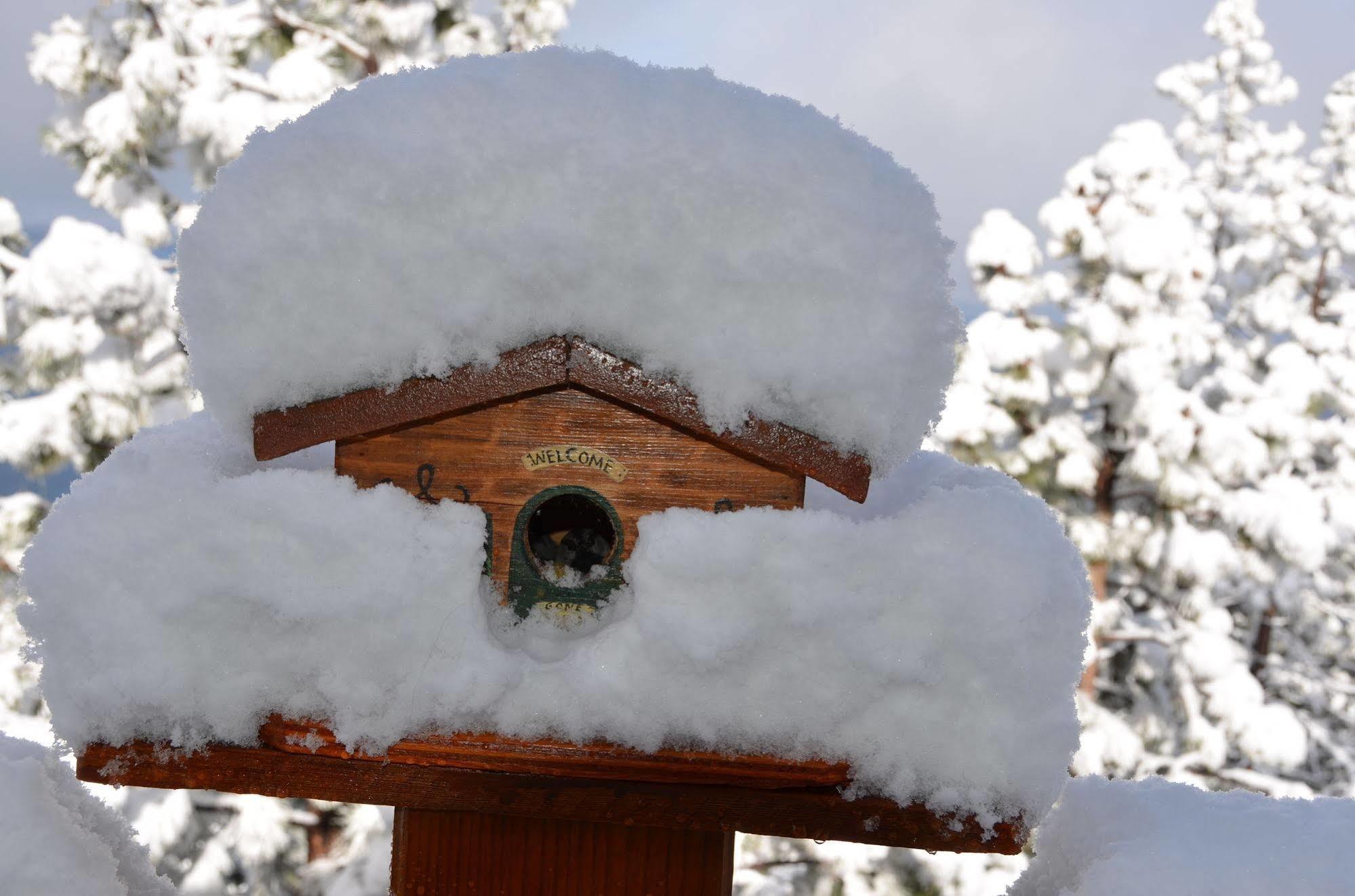 Where Eagles Fly Bed & Breakfast Elk Point Luaran gambar