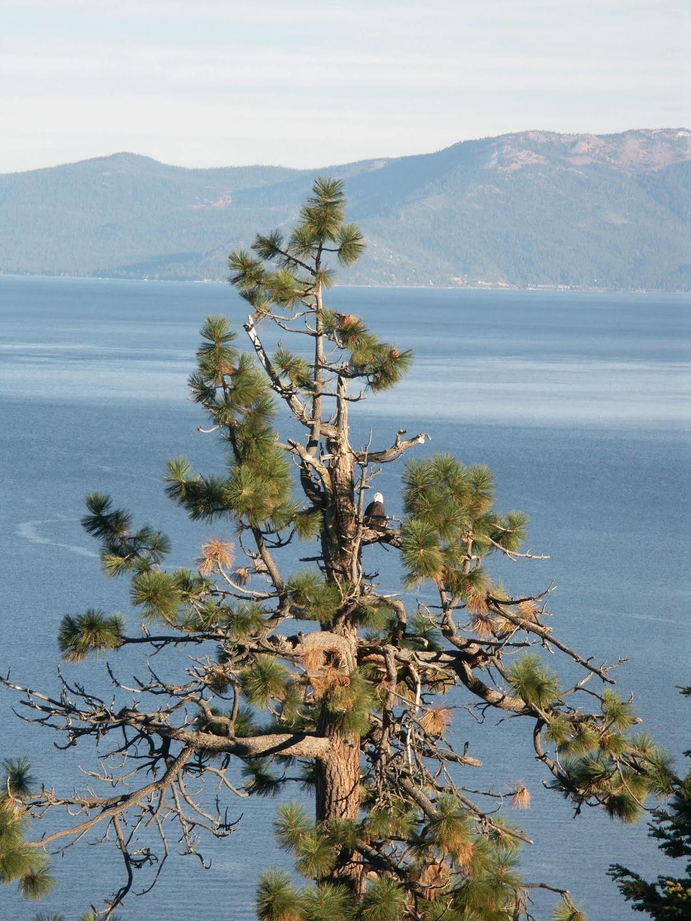 Where Eagles Fly Bed & Breakfast Elk Point Luaran gambar